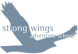 Strong Wings